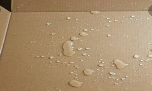 Fluted Cartons